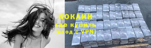 a pvp Алзамай