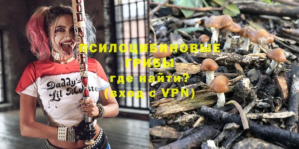 a pvp Алзамай